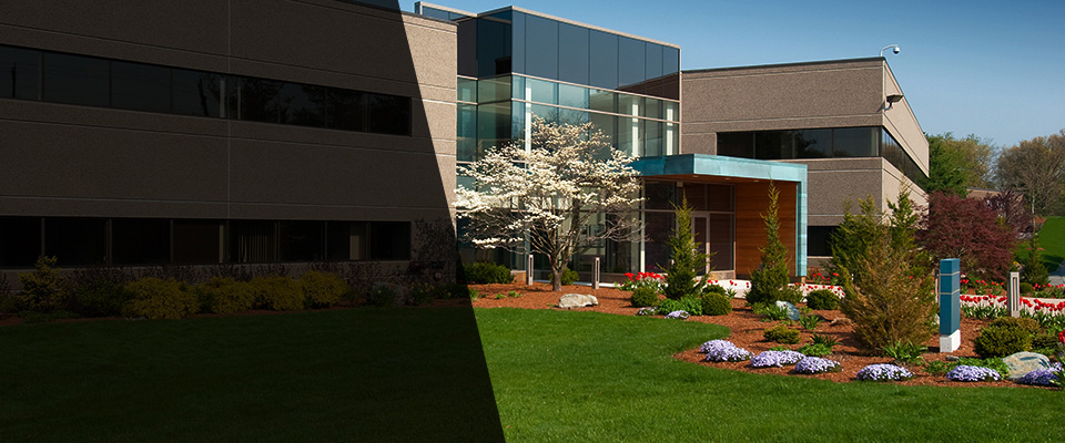 Maple Valley Landscapers