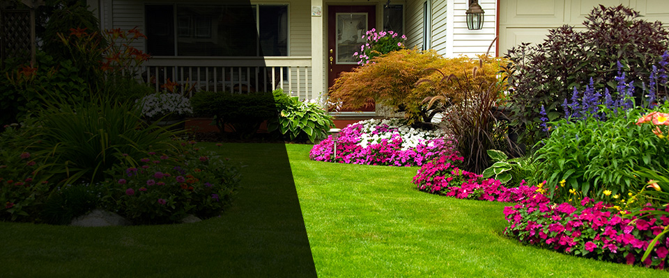 Maple Valley Landscapers