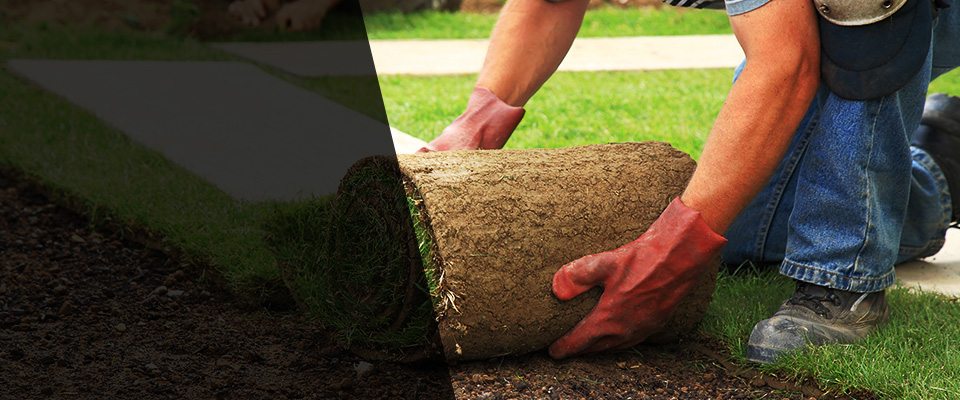 Maple Valley Landscapers